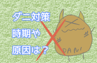 生活 暮らしの知恵袋 札幌ニップロ株式会社