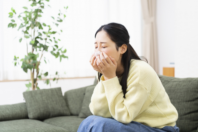 花粉症が家に帰るとひどくなる 原因を知って室内の花粉予防 排除を 暮らしの知恵袋 札幌ニップロ株式会社
